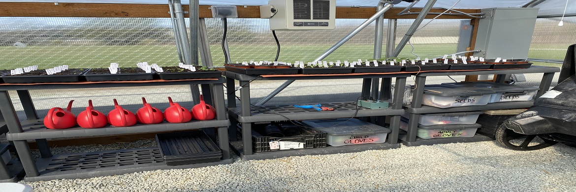 Garden starters on carts in greenhouse with supplies underneath them.
