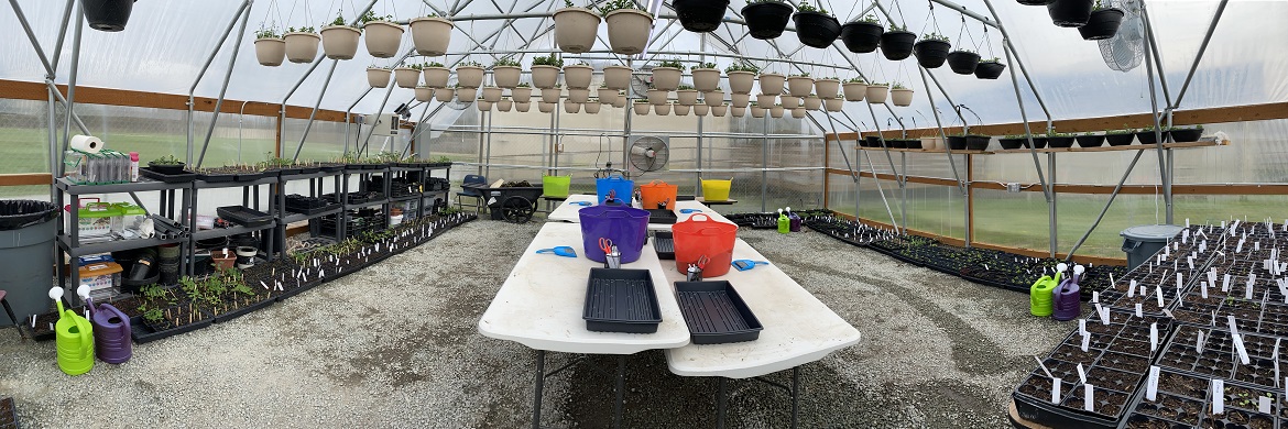 Image of the inside of a greenhouse with starters.