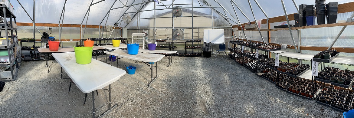 Image of a greenhouse with plant starters.