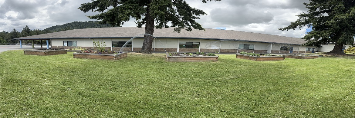 Picture of raised garden beds at school.