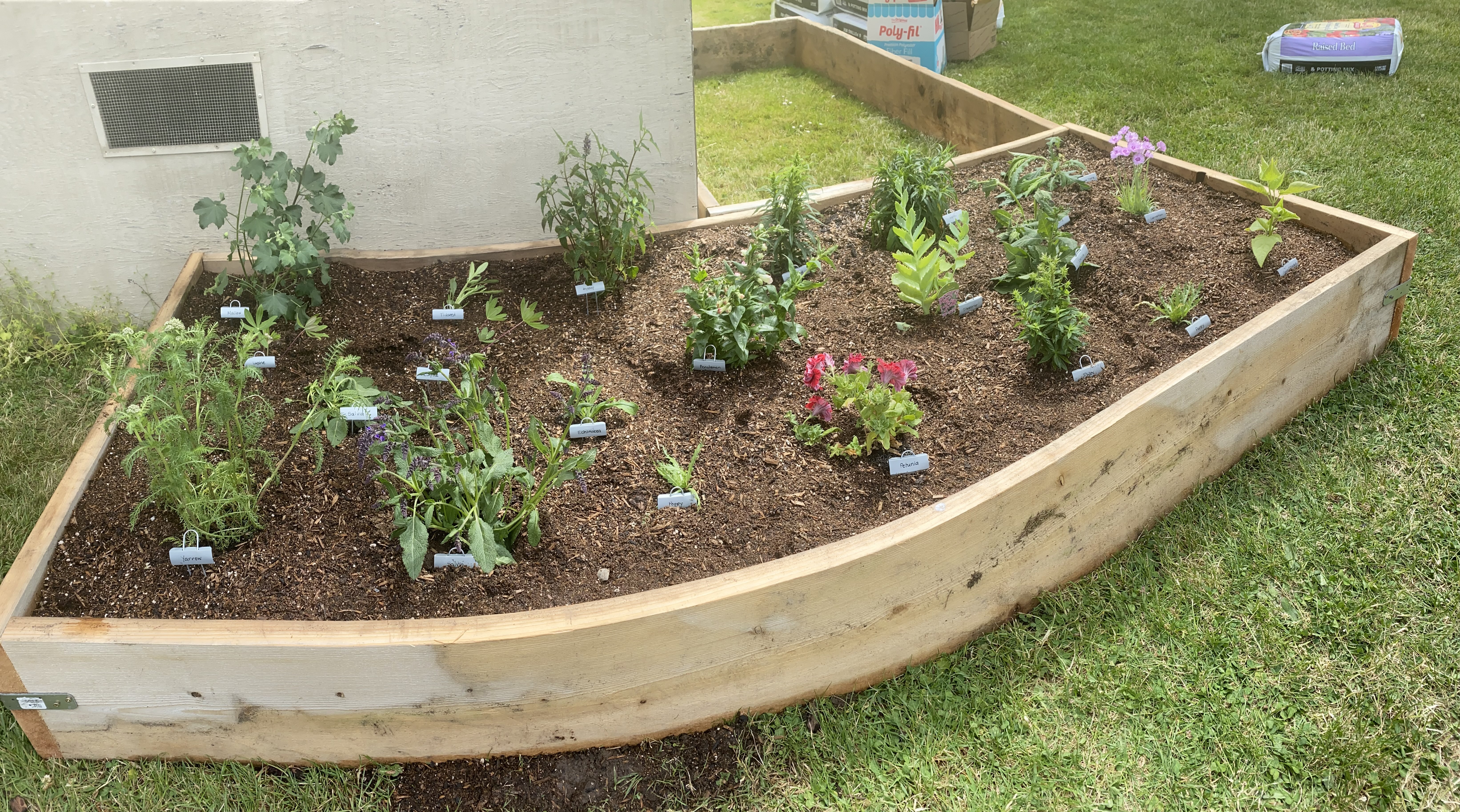 Picture of garden box with plants.