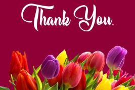 The words "Thank You" with tulips underneath.
