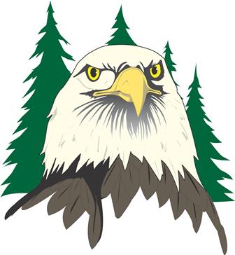 Eagle head with pine trees in the background.