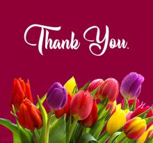 The words "Thank You" with tulips underneath.
