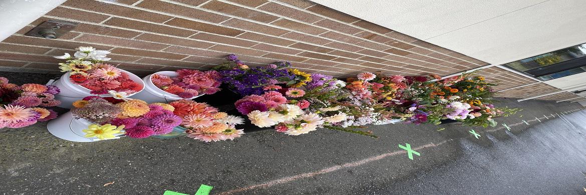 Buckets along a school wall full of flowers for flower arrangements.
